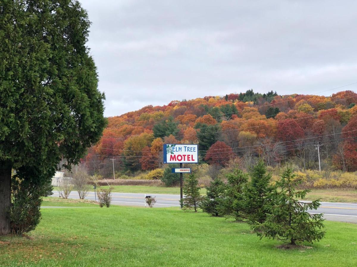 Elm Tree Motel Craryville Luaran gambar